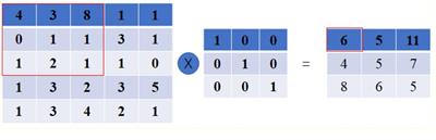 Cerebral Micro-Bleeding Detection Based on Densely Connected Neural Network